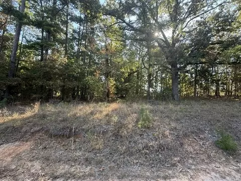tbd Morningside Ln, Avinger, TX 75630