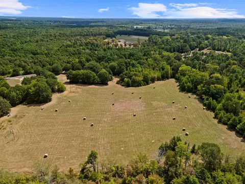 000 Tbd Fm 450, Harleton, TX 75651 photo 17