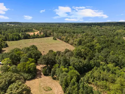 000 Tbd Fm 450, Harleton, TX 75651 photo 18