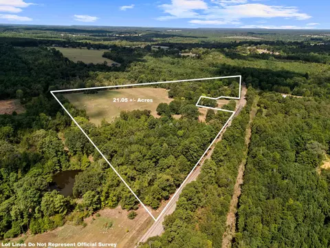 000 Tbd Fm 450, Harleton, TX 75651 photo 23