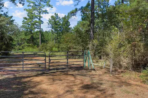 tbd Cr 164, Long Branch, TX 75669