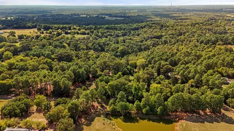 655 Cr 1127, Daingerfield, TX 75638