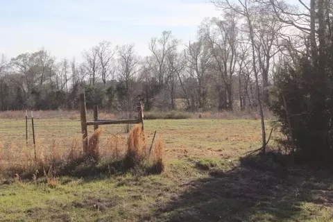 tbd Fm 2208, Harleton, TX 75651 photo 11