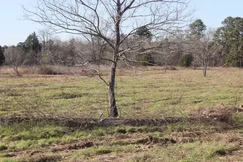 tbd Fm 2208, Harleton, TX 75651 photo 8