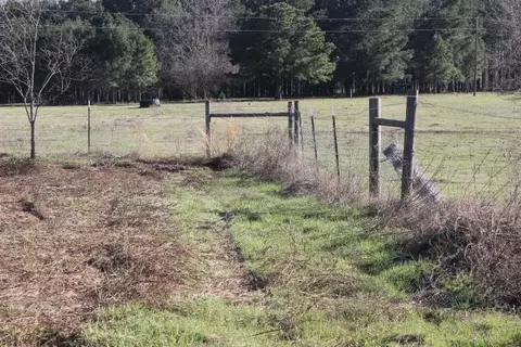 tbd Fm 2208, Harleton, TX 75651 photo 3