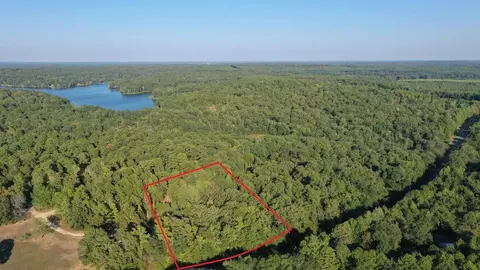 0000 County Road 1511, Avinger, TX 75630