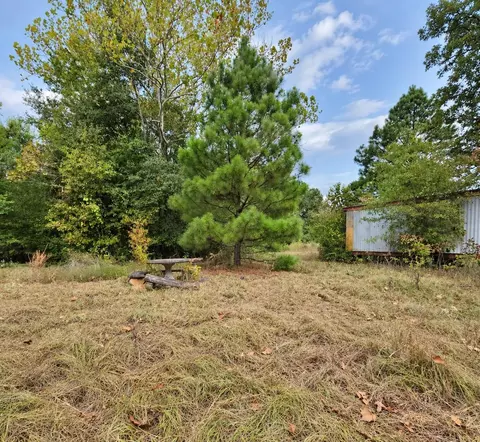 0 Ferguson Rd, Harleton, TX 75651 photo 5