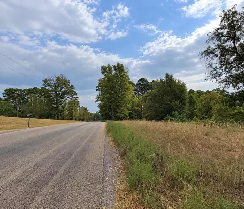 0 Ferguson Rd, Harleton, TX 75651 photo 4
