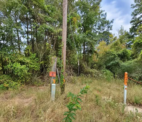 0 Ferguson Rd, Harleton, TX 75651 photo 8
