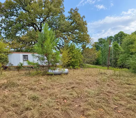 0 Ferguson Rd, Harleton, TX 75651 photo 6