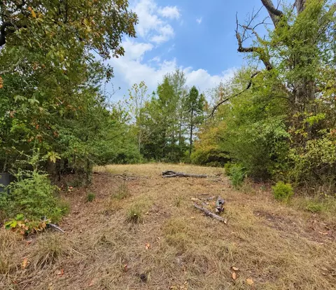 0 Ferguson Rd, Harleton, TX 75651 photo 2