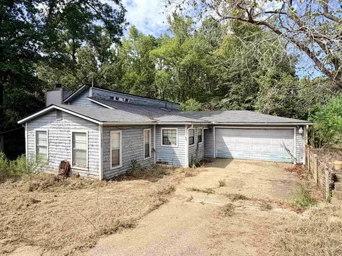 11007 State Highway 154 E, Diana, TX 75640