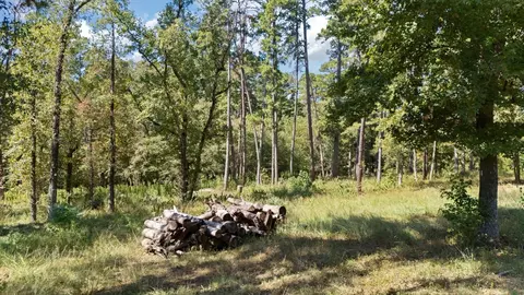 3 Bridle Path, Longview, TX 75605 photo 4