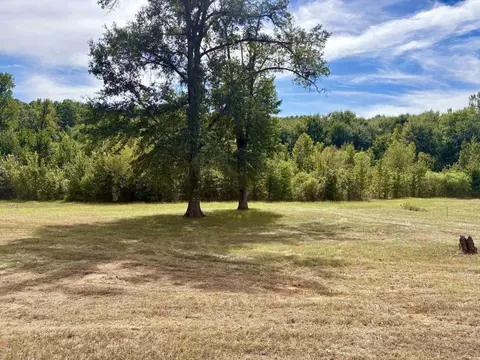 tbd Lot 2 Pine Tree Rd, Longview, TX 75604 photo 3