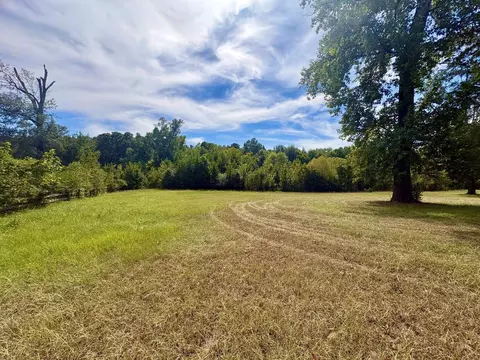 tbd Lot 3 Pine Tree Rd, Longview, TX 75604 photo 3