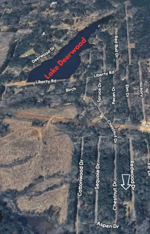 tbd Redwood Dr, Harleton, TX 75651 photo 3