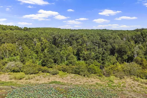 tbd Willow Point Marina Rd, Lone Star, TX 75668