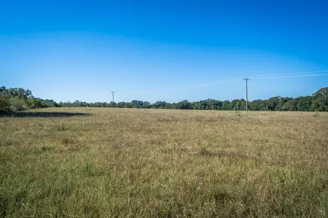 0 Ora Asa Johnson Rd, Harleton, TX 75651 photo 5