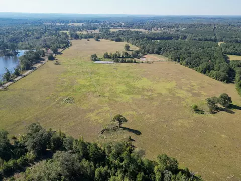 0 Ora Asa Johnson Rd, Harleton, TX 75651 photo 13