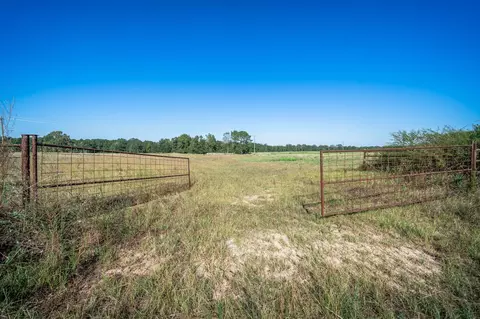0 Ora Asa Johnson Rd, Harleton, TX 75651 photo 2