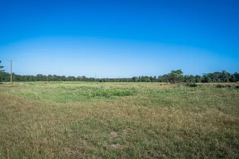 0 Ora Asa Johnson Rd, Harleton, TX 75651 photo 3