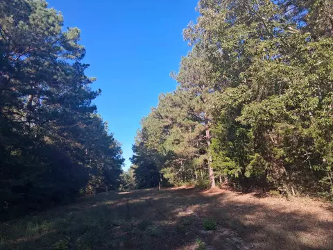 lot2 Tbd Edmondson Rd, Harleton, TX 75651 photo 3