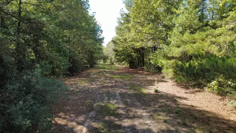 lot3 Tbd Edmondson Rd, Harleton, TX 75651 photo 11