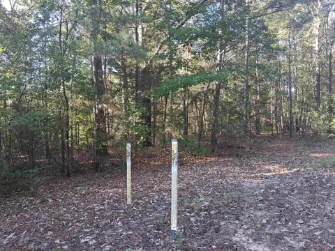lot4 Tbd Edmondson Rd, Harleton, TX 75651 photo 9