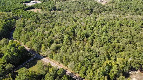 lot4 Tbd Edmondson Rd, Harleton, TX 75651 photo 3