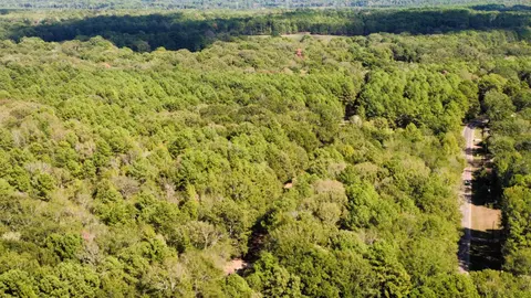 lot4 Tbd Edmondson Rd, Harleton, TX 75651 photo 4
