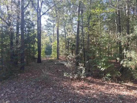 lot5 Tbd Edmondson Rd, Harleton, TX 75651 photo 10