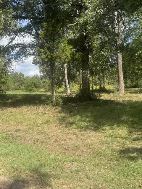 tbd County Road 175, Gary, TX 75643 photo 2