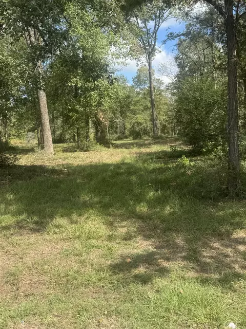 tbd County Road 175, Gary, TX 75643 photo 3