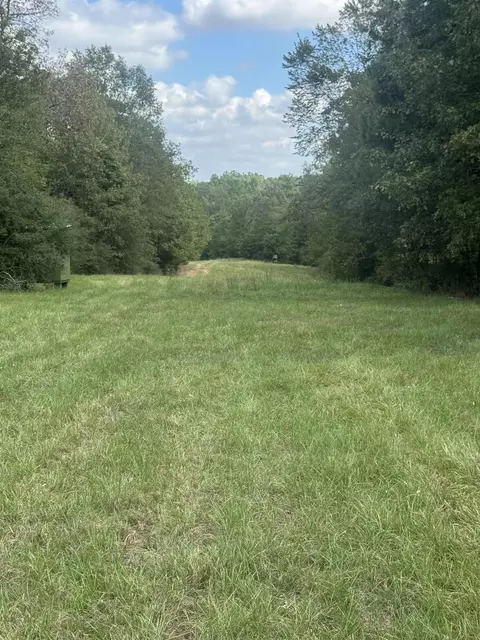 tbd County Road 175, Gary, TX 75643 photo 5