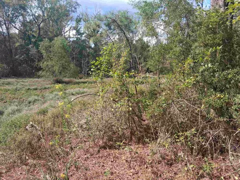 lot1 Tbd Edmondson Rd, Harleton, TX 75651 photo 11