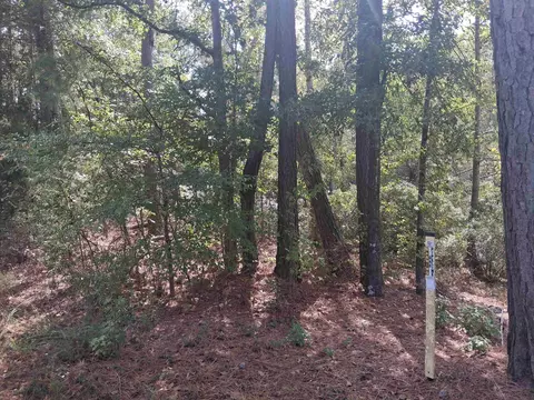 lot1 Tbd Edmondson Rd, Harleton, TX 75651 photo 9