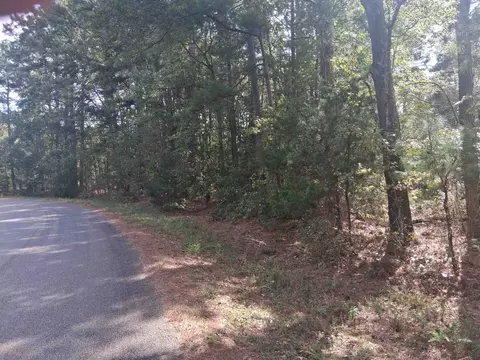 lot1 Tbd Edmondson Rd, Harleton, TX 75651 photo 8