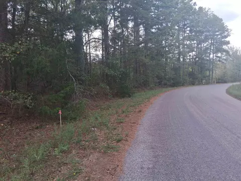 lot1 Tbd Edmondson Rd, Harleton, TX 75651 photo 5