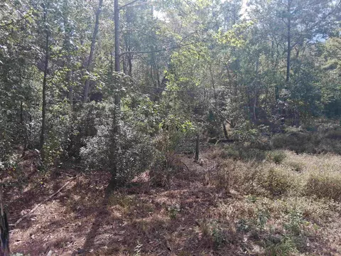 lot1 Tbd Edmondson Rd, Harleton, TX 75651 photo 10