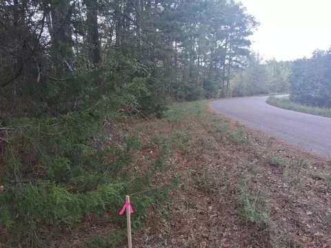 lot1 Tbd Edmondson Rd, Harleton, TX 75651 photo 6