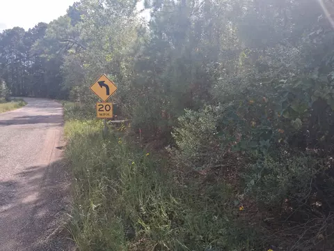 lot1 Tbd Edmondson Rd, Harleton, TX 75651 photo 12