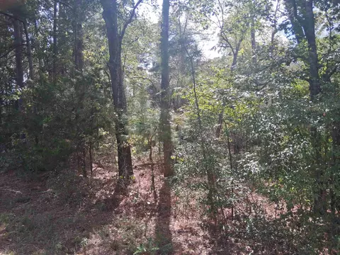 lot1 Tbd Edmondson Rd, Harleton, TX 75651 photo 7