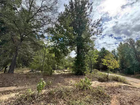 tbd N Cr 4146, Overton, TX 75684