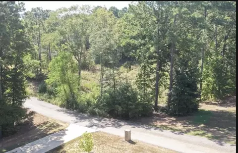 tbd Lot 66 Bralan Dr, Diana, TX 75640