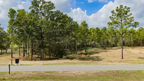 0102 Eagle Creek Dr, Diana, TX 75640