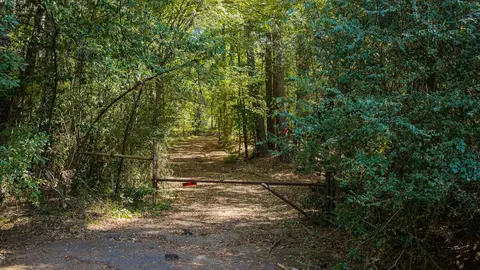 1246 Phillips Springs Rd, Gladewater, TX 75647