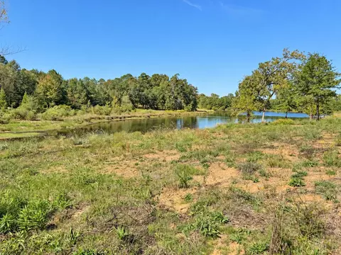tbd Fm 2015 #LOT A, Winona, TX 75792