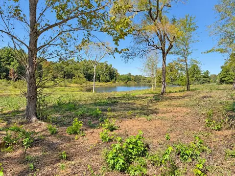 tbd Fm 2015 #LOT B, Winona, TX 75792