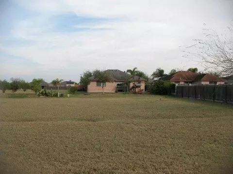 1001 W Nell Pool Dr, Pharr, TX 78577 photo 1