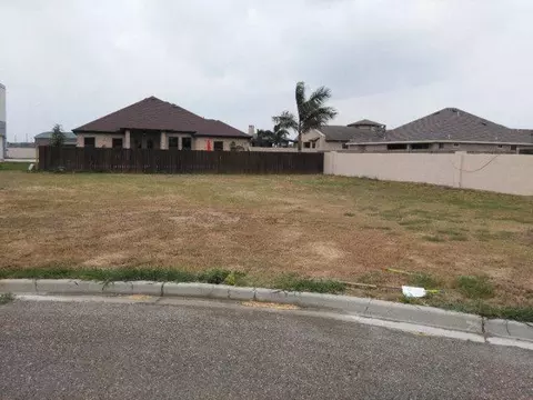 607 Red Bugambilia, Pharr, TX 78577 photo 1
